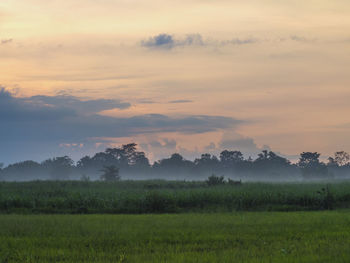 Scenic view of field against sky during sunset
