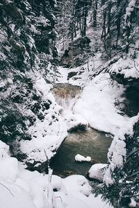 High angle view of snow covered rocks in forest