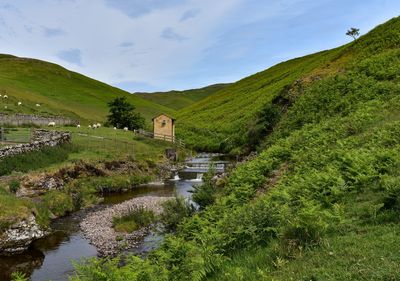 Scenic view of stream amidst green landscape against sky