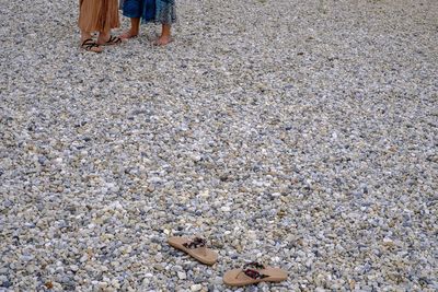 Low section of man standing on beach