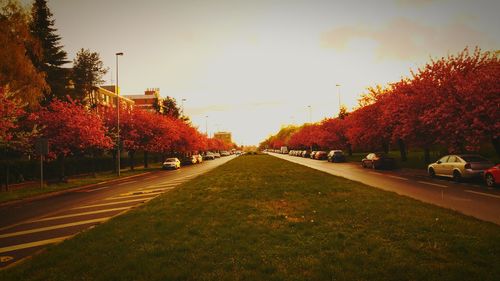 Road amidst trees against sky during autumn