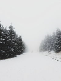 Snow covered land and trees against sky