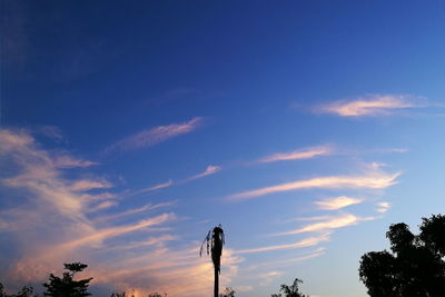 Low angle view of silhouette trees against sky at sunset