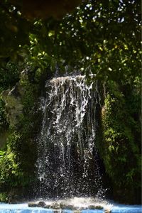 Close-up of water splashing on tree