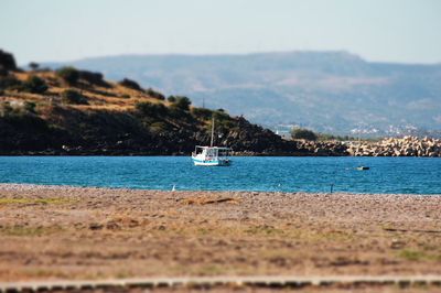 Boats sailing in sea