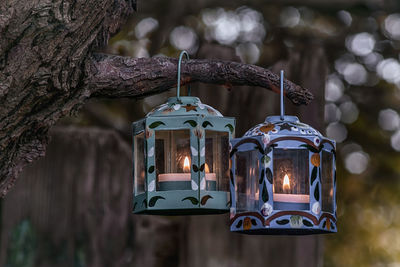 Close-up of illuminated lantern hanging on tree trunk