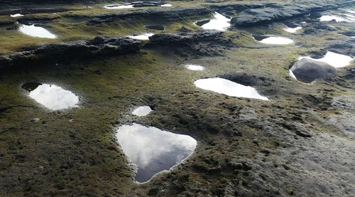 High angle view of river flowing through rocks