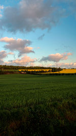 Scenic view of field against sky during sunset