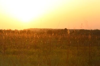 Scenic view of field against sky during sunset