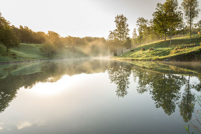 Reflection of trees in lake against sky