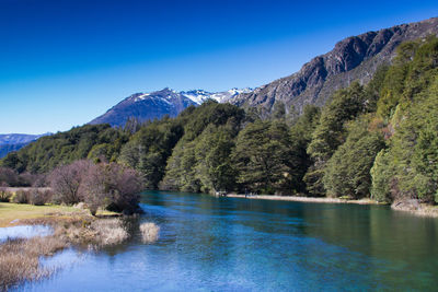 Scenic view of lake in forest against clear blue sky