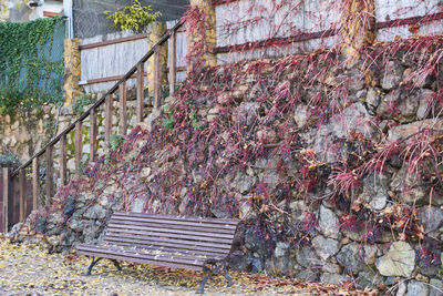 Empty bench on plant against wall