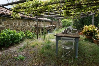 Trees and plants in house