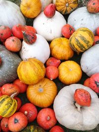 Full frame shot of pumpkins