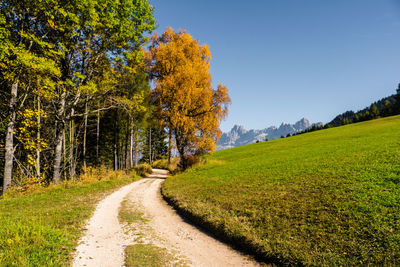 Road amidst trees against sky during autumn