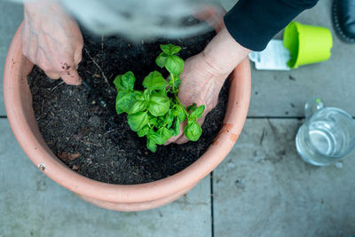 Cropped hand of person watering plants