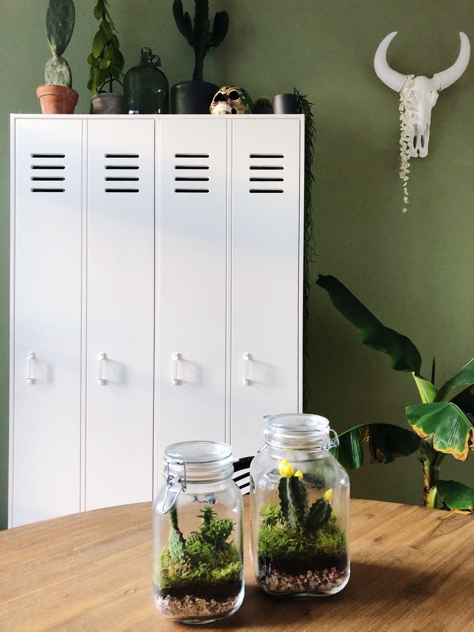 POTTED PLANTS IN JAR