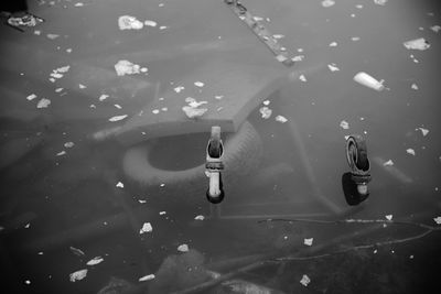 High angle view of swimming in water