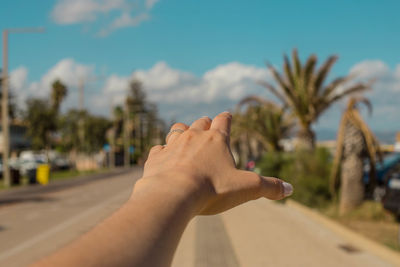 Midsection of person holding plant against sky