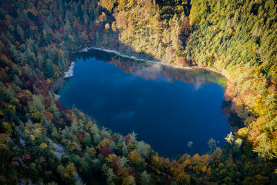 High angle view of lake amidst trees during autumn