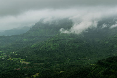 Scenic view of green landscape against sky