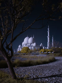 Grand mosque in infrared