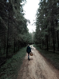 Rear view of woman walking on footpath in forest