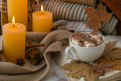 Celebrating autumn holidays at cozy home with cup hot chocolate marshmallows cacao on the windowsill 