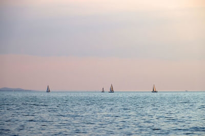 Sailboat sailing on sea against sky