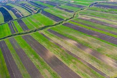 Full frame shot of agricultural field