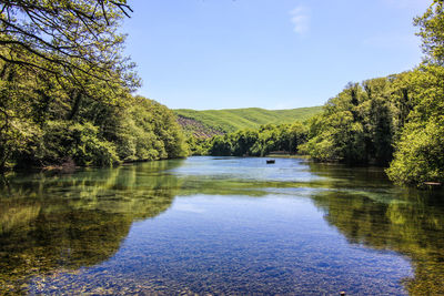 Scenic view of lake in forest against clear sky