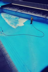High angle view of horse in swimming pool