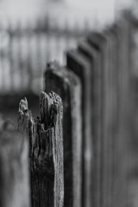 Close-up of wooden post on fence