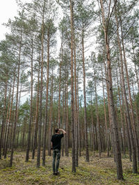 Rear view of man standing amidst trees at forest