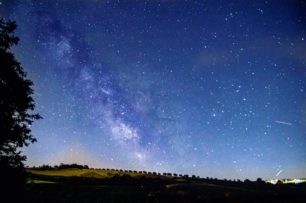 SCENIC VIEW OF TREES AGAINST STAR FIELD AT NIGHT