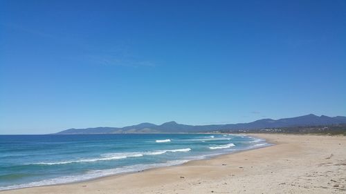 Scenic view of beach against blue sky