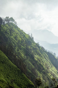 Scenic view of mountains against cloudy sky