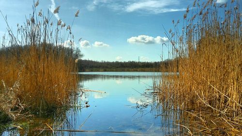 Scenic view of lake against sky