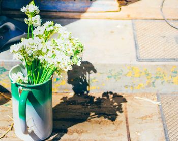 High angle view of white flowers in jug