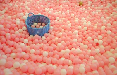 High angle view of eggs in container
