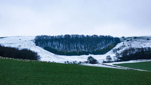 Scenic view of snowy field against sky