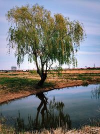 Scenic view of lake against sky