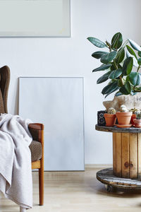 Potted plants on table at home