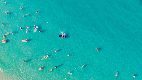 High angle view of people enjoying in sea