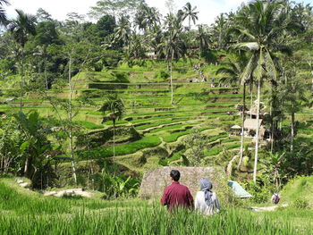 People relaxing on field by trees against clear sky