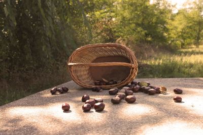 Close-up of fruits in basket on table against trees