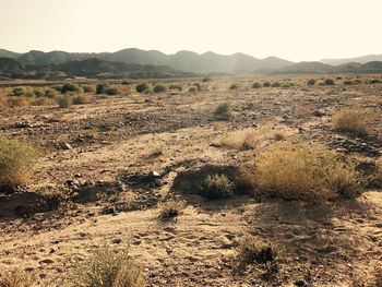 Scenic view of desert against clear sky