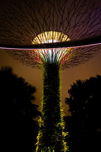 Illuminated trees in city against sky at night