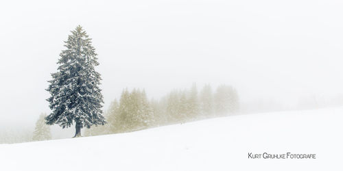 Scenic view of snow covered landscape