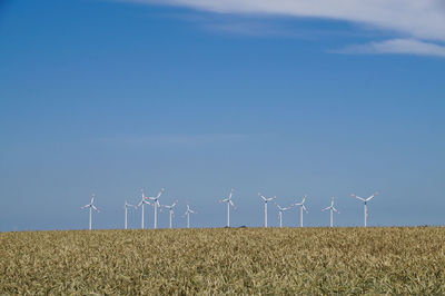 Windmills at farm against blue sky